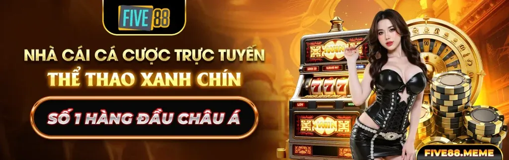 Cập nhật hệ thống VL88
